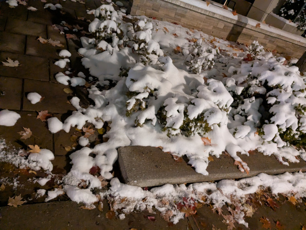 First snow in November